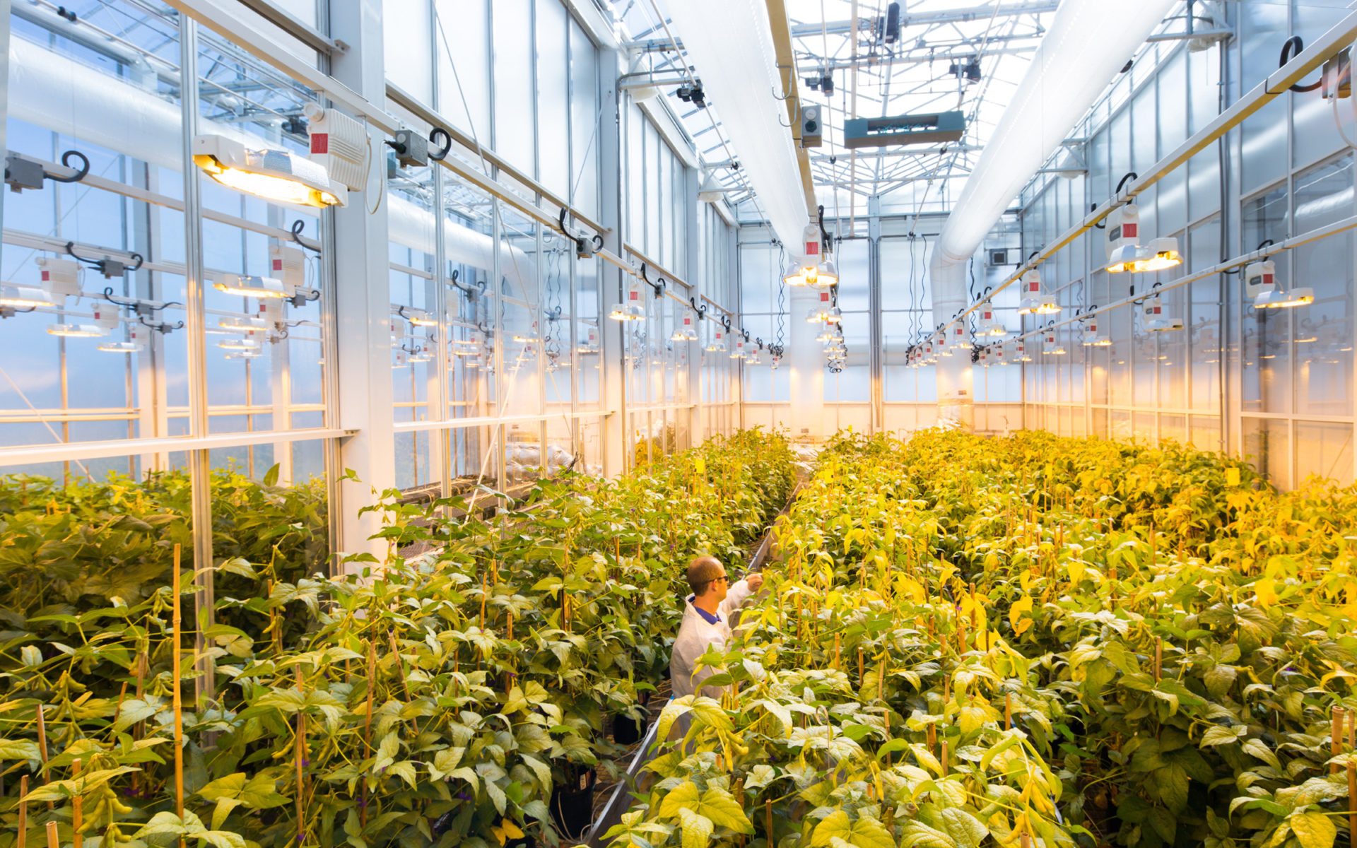 Bayer Greenhouse 1 in Research Triangle Park, NC