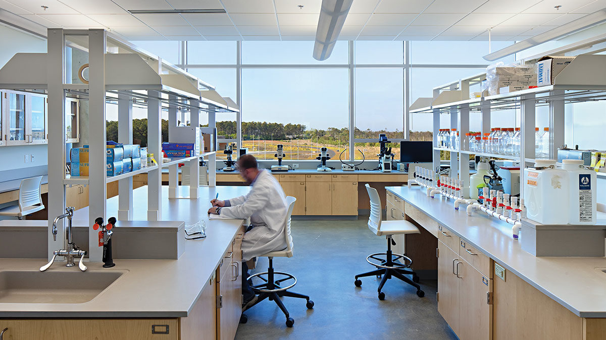 A lab at Coastal Studies Institute in Wanchese, North Carolina; Architect: Clark Nexsen