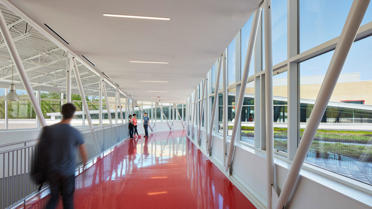 At Asheville Middle School, a rooftop garden is visible from corridors, and the cafeteria boasts views to mountains and treetops. Photo by Mark Herboth Photography.