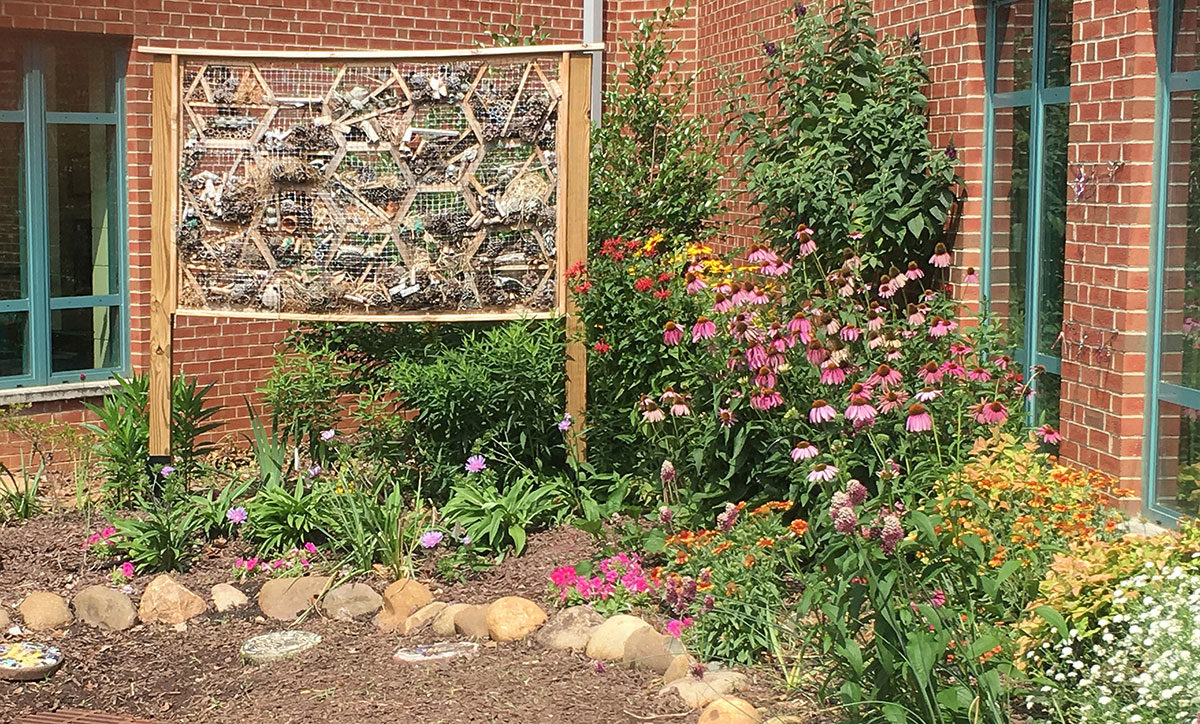 Butterfly Garden at Douglas Elementary School in Raleigh, North Carolina