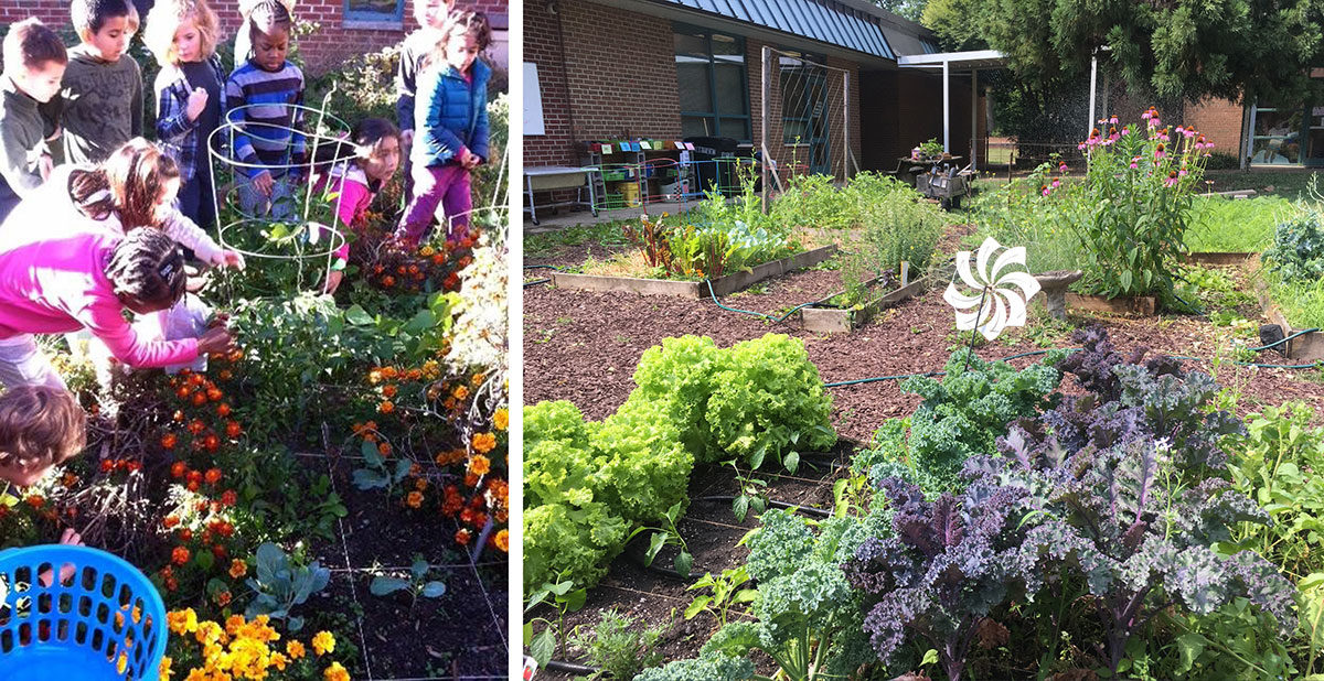 The community garden at Douglas Elementary School in Raleigh, North Carolina.