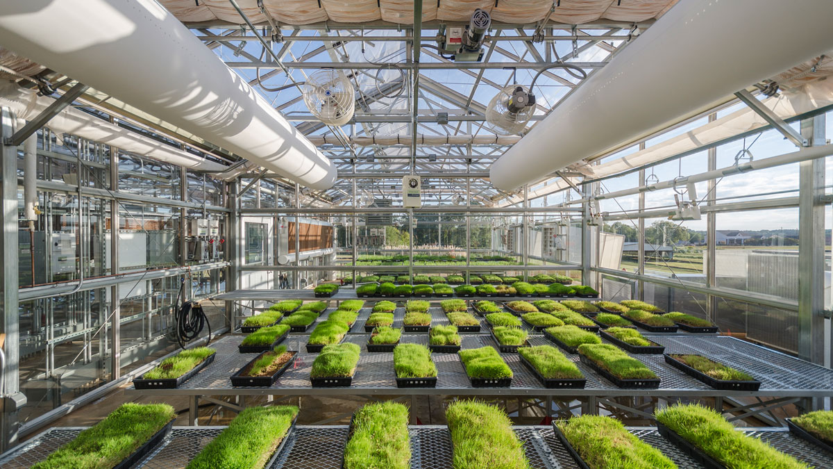 Research greenhouse for UGA’s turfgrass facility